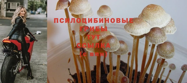 COCAINE Белокуриха